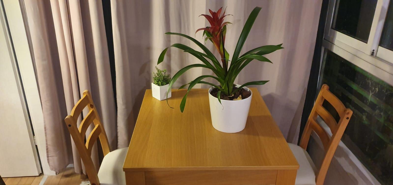 WhatsApp Image 2020-11-19 at 22.13.37 (6).jpeg